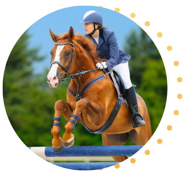 Show jumper on their horse in mid-jump during a competition.