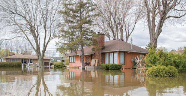 Floodwater surrounds several single‑story homes, submerging yards and reflecting the buildings and trees.