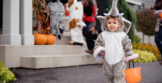 A toddler dressed up as an elephant for Halloween is with a group of children trick-or-treating before dark.